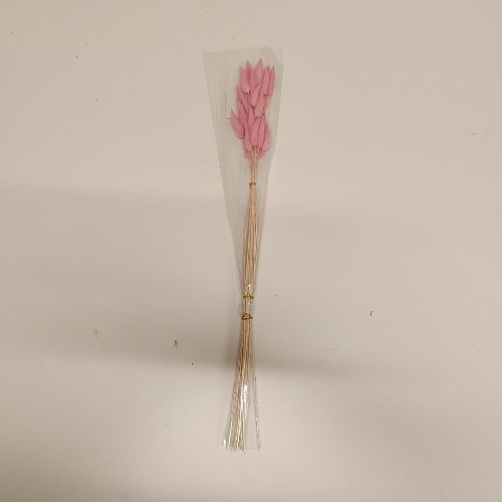 Dried Bunny Tails Bouquet Pink 60cm - 25 Stems - Decorative Accessories - VassoHome