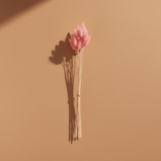 Dried Bunny Tails Bouquet Pink 60cm - 25 Stems - Decorative Accessories - VassoHome