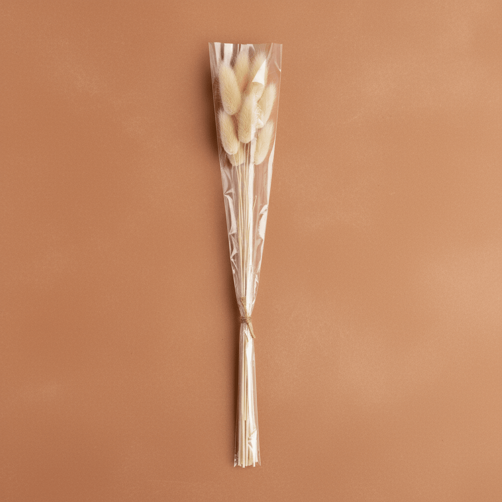 Dried Bunny Tails Bouquet 25 Stems Beige 60cm - Decorative Accessories - VassoHome
